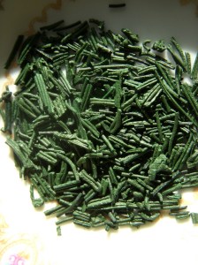 dried_spirulina